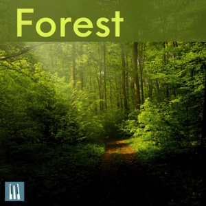 Forest flutes